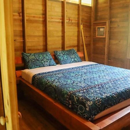 Jungle Beach 2 Bedroom Cottage 博卡斯德尔托罗 外观 照片
