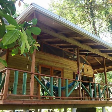 Jungle Beach 2 Bedroom Cottage 博卡斯德尔托罗 外观 照片