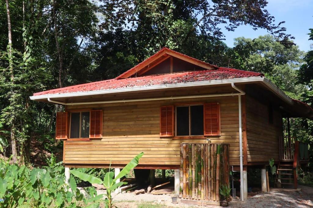 Jungle Beach 2 Bedroom Cottage 博卡斯德尔托罗 外观 照片