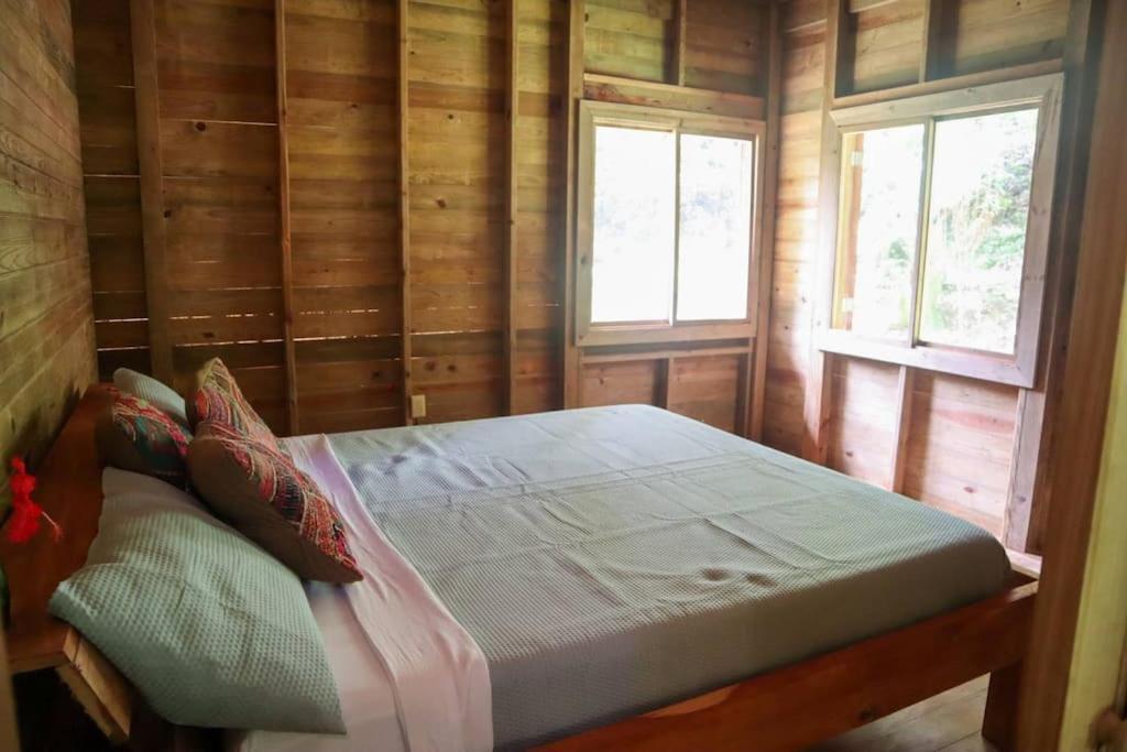 Jungle Beach 2 Bedroom Cottage 博卡斯德尔托罗 外观 照片