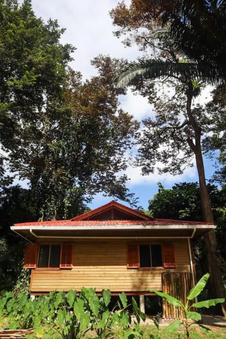 Jungle Beach 2 Bedroom Cottage 博卡斯德尔托罗 外观 照片