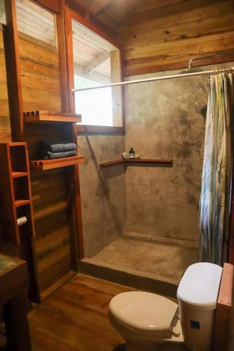 Jungle Beach 2 Bedroom Cottage 博卡斯德尔托罗 外观 照片