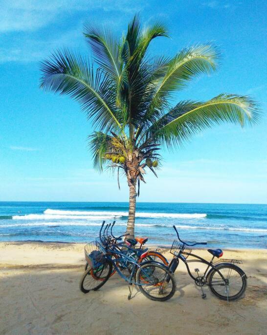 Jungle Beach 2 Bedroom Cottage 博卡斯德尔托罗 外观 照片