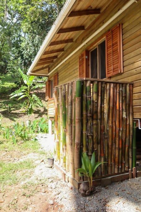 Jungle Beach 2 Bedroom Cottage 博卡斯德尔托罗 外观 照片