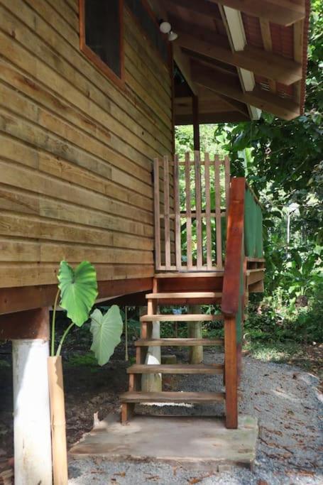 Jungle Beach 2 Bedroom Cottage 博卡斯德尔托罗 外观 照片