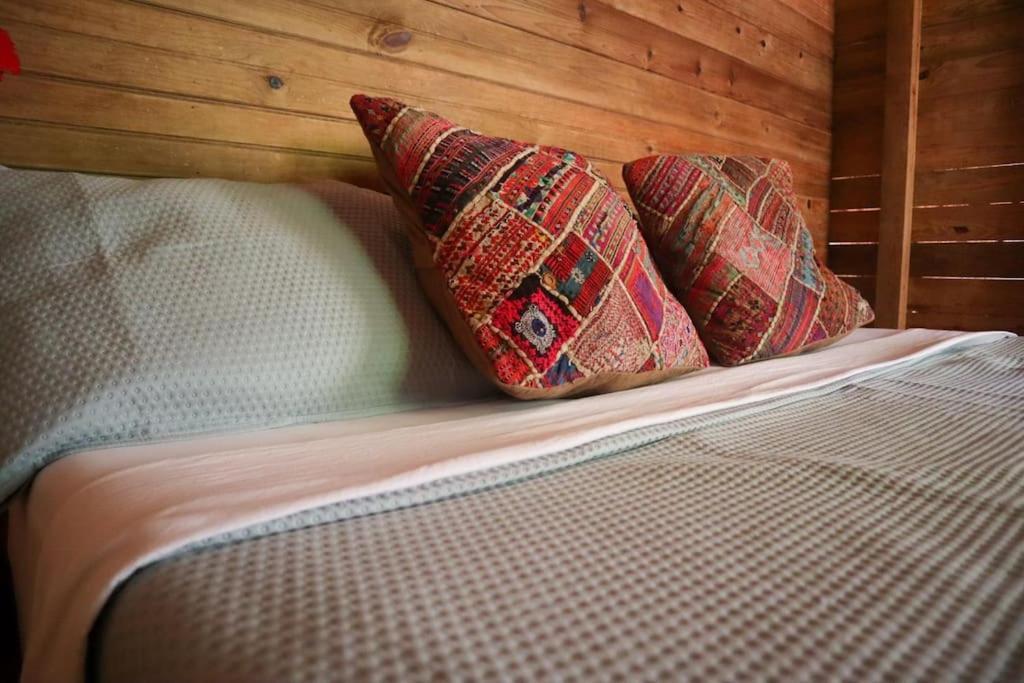 Jungle Beach 2 Bedroom Cottage 博卡斯德尔托罗 外观 照片
