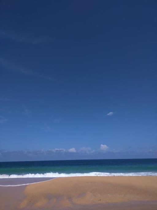 Jungle Beach 2 Bedroom Cottage 博卡斯德尔托罗 外观 照片